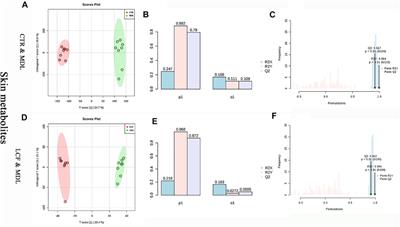 Explore the Anti-Acne Mechanism of Licorice Flavonoids Based on Metabonomics and Microbiome